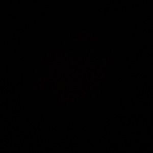 Meet your Posher, Ebony